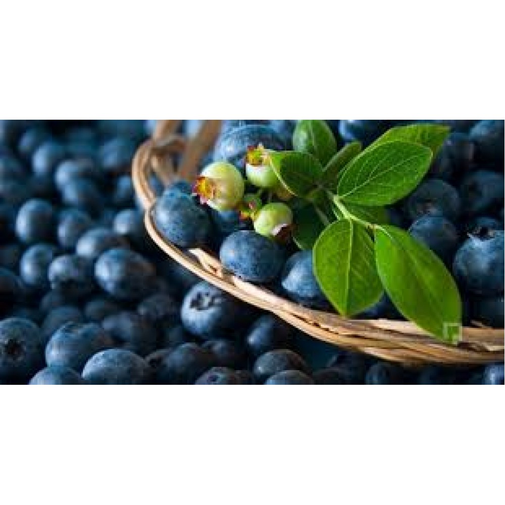 Dondurulmuş YABANMERSİNİ 1 kg