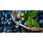 Dondurulmuş YABANMERSİNİ 1 kg