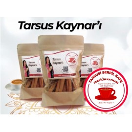 Tarsus Kaynar'ı