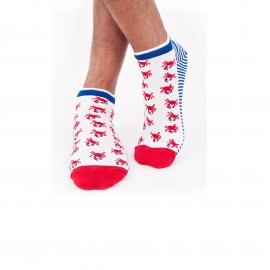 Anemoss Erkek 3'lü Patik Çorap Seti