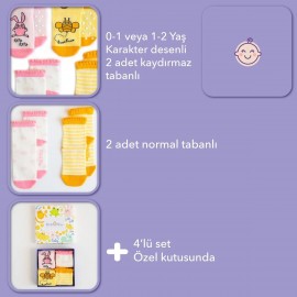 Bebek Çorabı 4'lü Set Arı Vız Vız ile Çançin